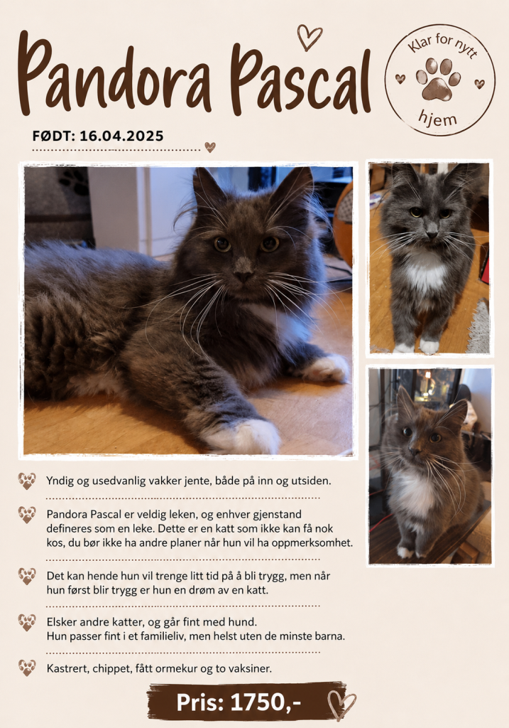 Moss og Omegn Dyrebeskyttelse